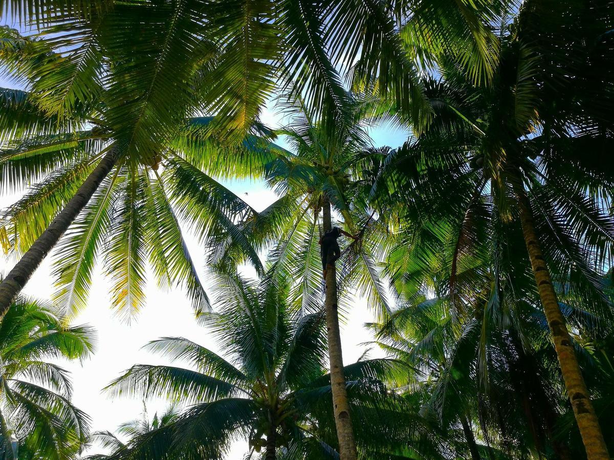 Appartamento Siargao Residency Union  Esterno foto